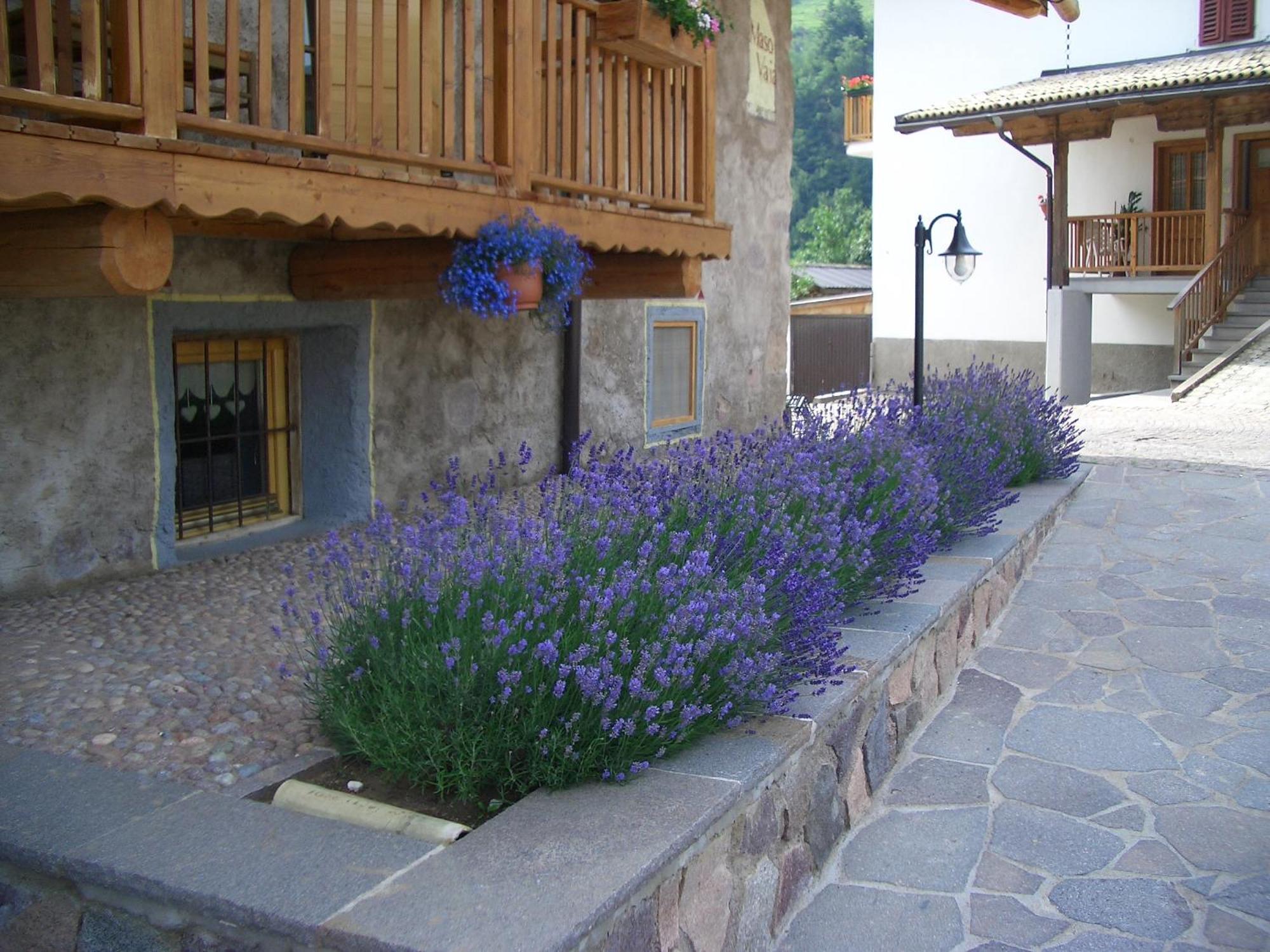 Bed and Breakfast Maso Vaia Cavalese Zewnętrze zdjęcie